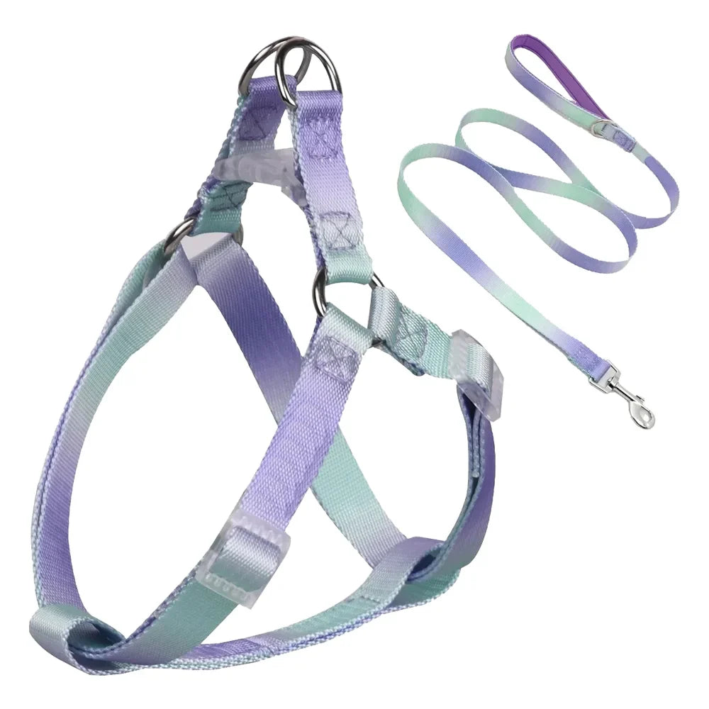 Set de pechera y correa tipo H