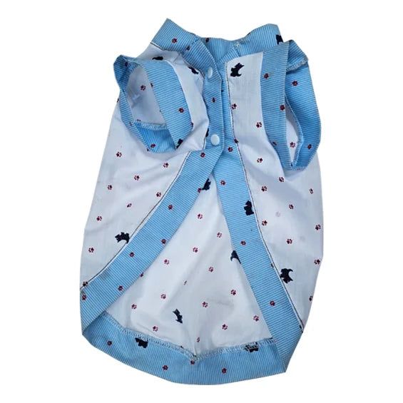 Camisa Ferrioni Con Borde Azul Cielo Talla 2