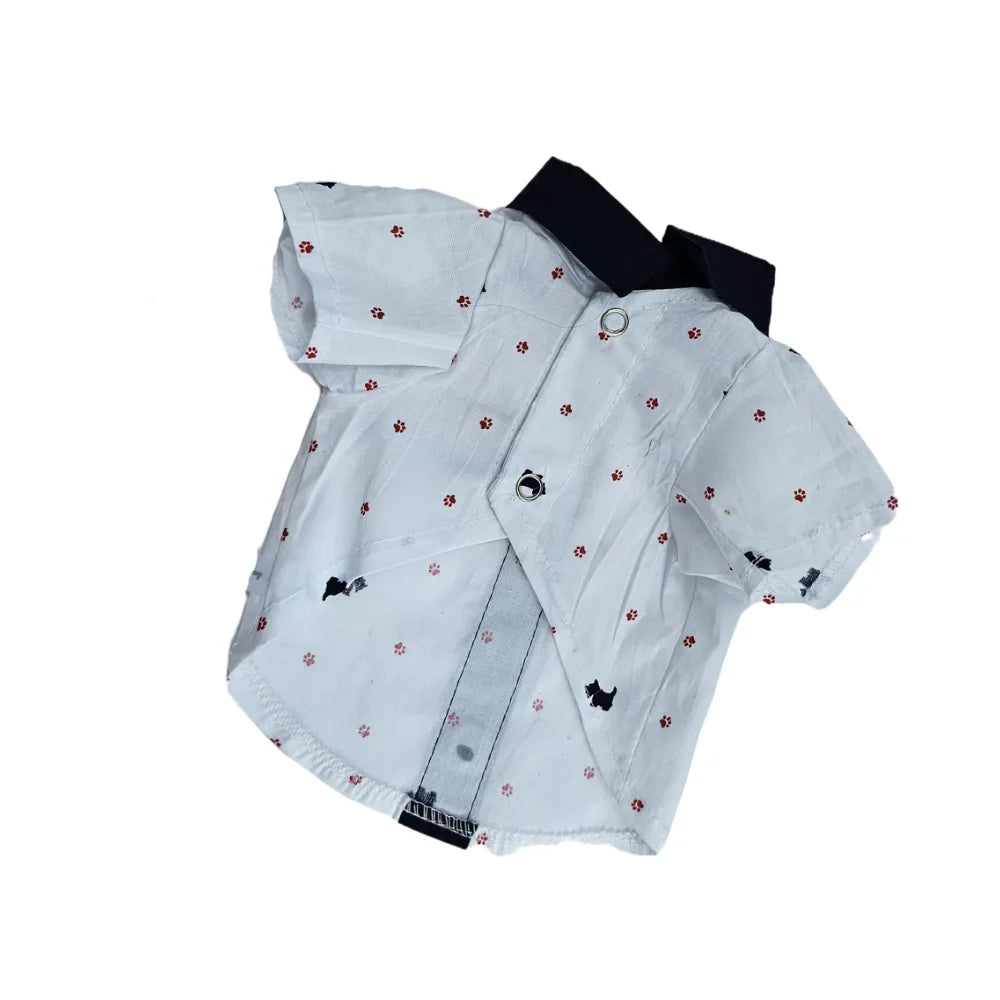 Camisa Ferrioni Clásica, Moda Con Estilo