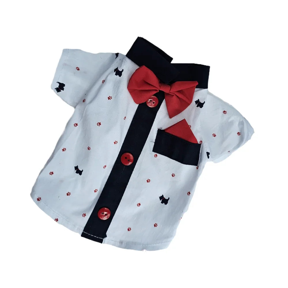 Camisa Ferrioni Clásica, Moda Con Estilo