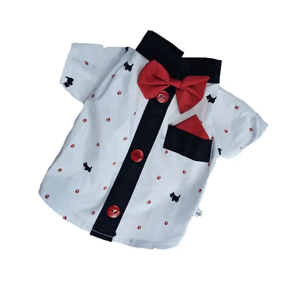 Camisa Ferrioni Clásica, Moda Con Estilo