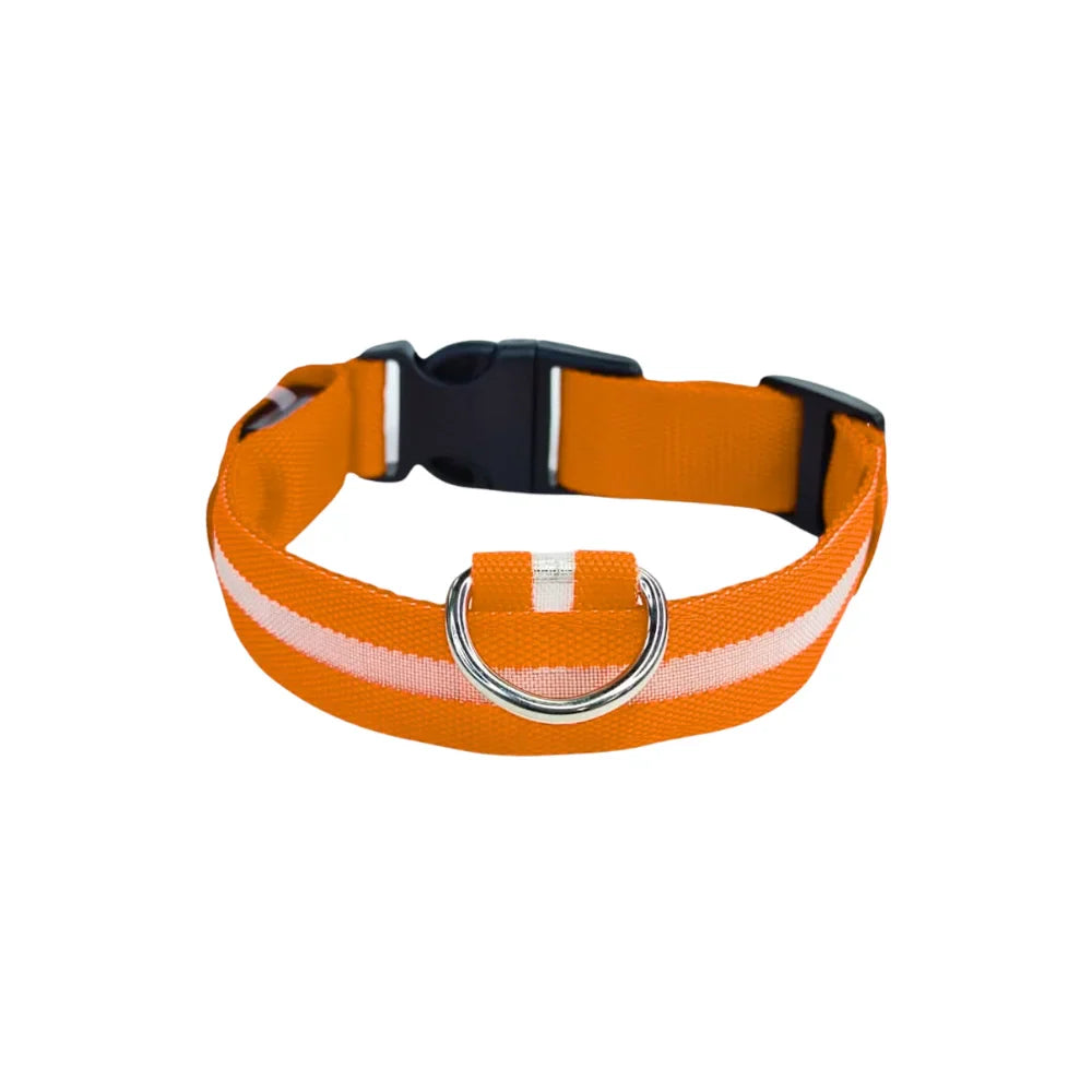 Collar Para Perro Y Gato Con Luz Led