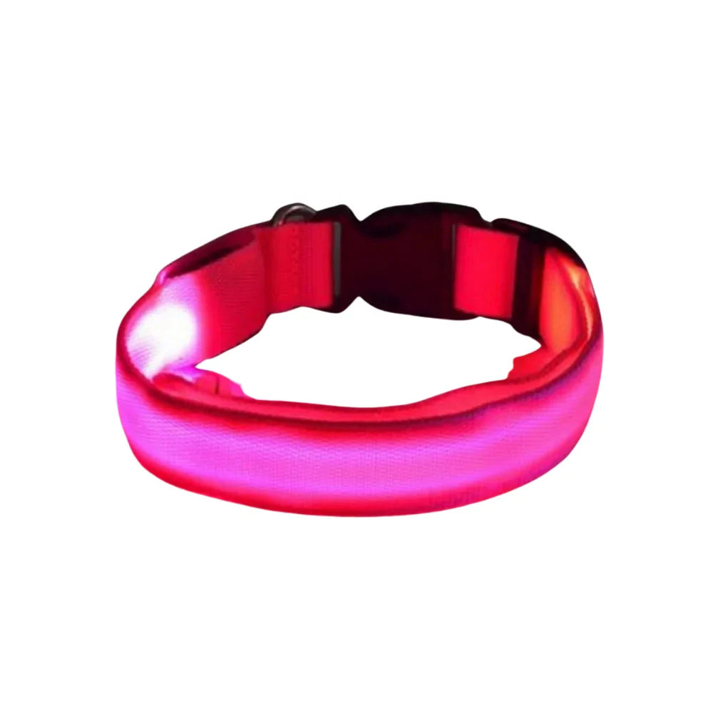 Collar Para Perro Y Gato Con Luz Led