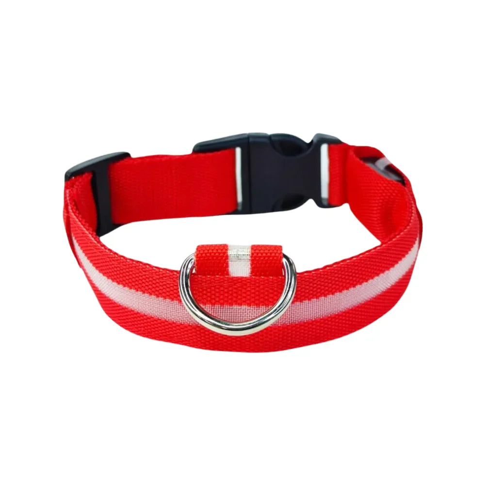 Collar Para Perro Y Gato Con Luz Led