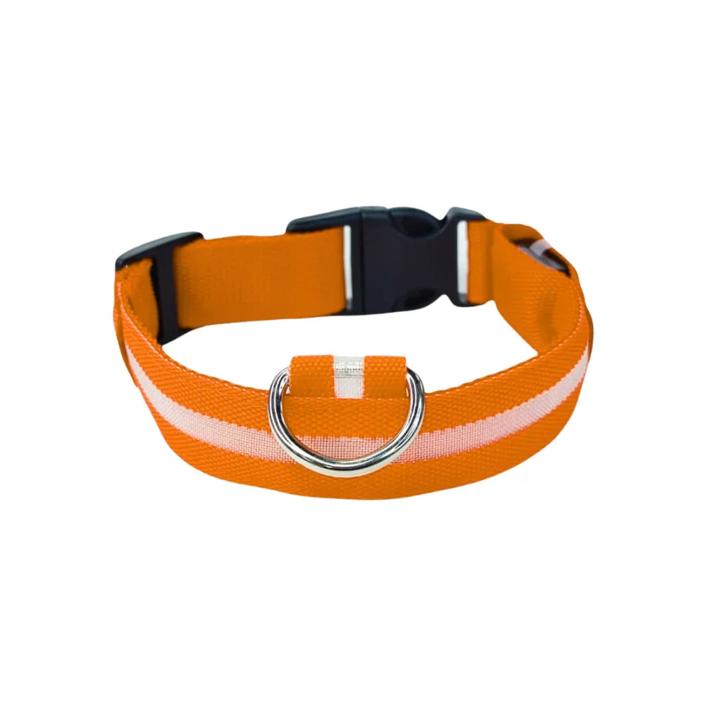 Collar Para Perro Y Gato Con Luz Led