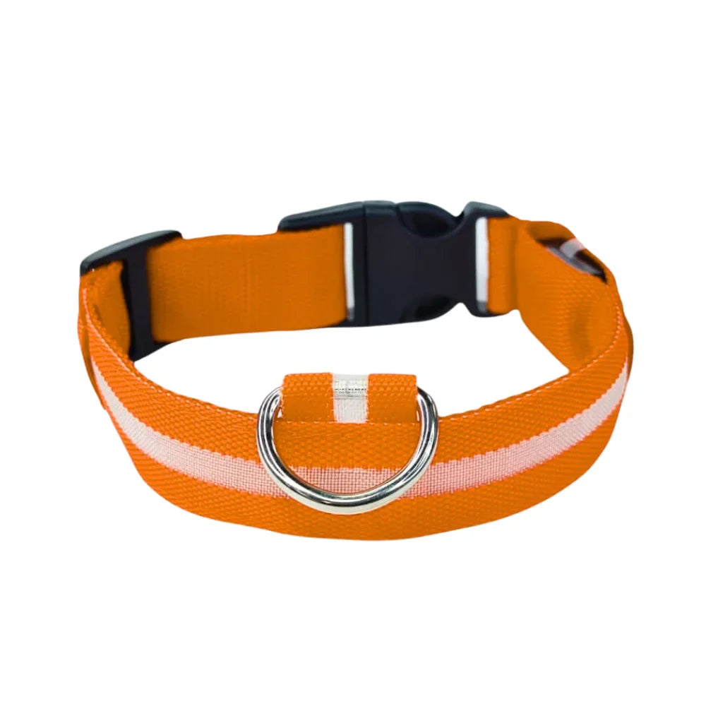 Collar Para Perro Y Gato Con Luz Led