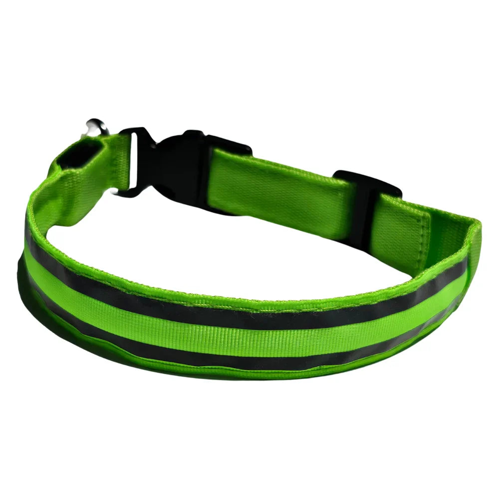 Collar Para Perro Y Gato Con Luz Led