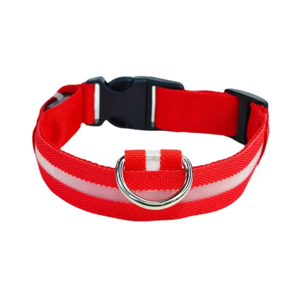 Collar Para Perro Y Gato Con Luz Led