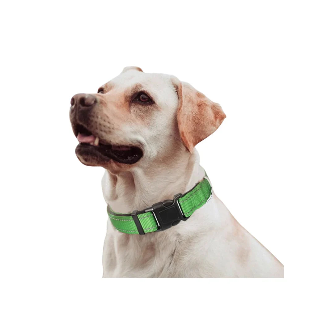 Collar Para Perro Y Gato Con Luz Led