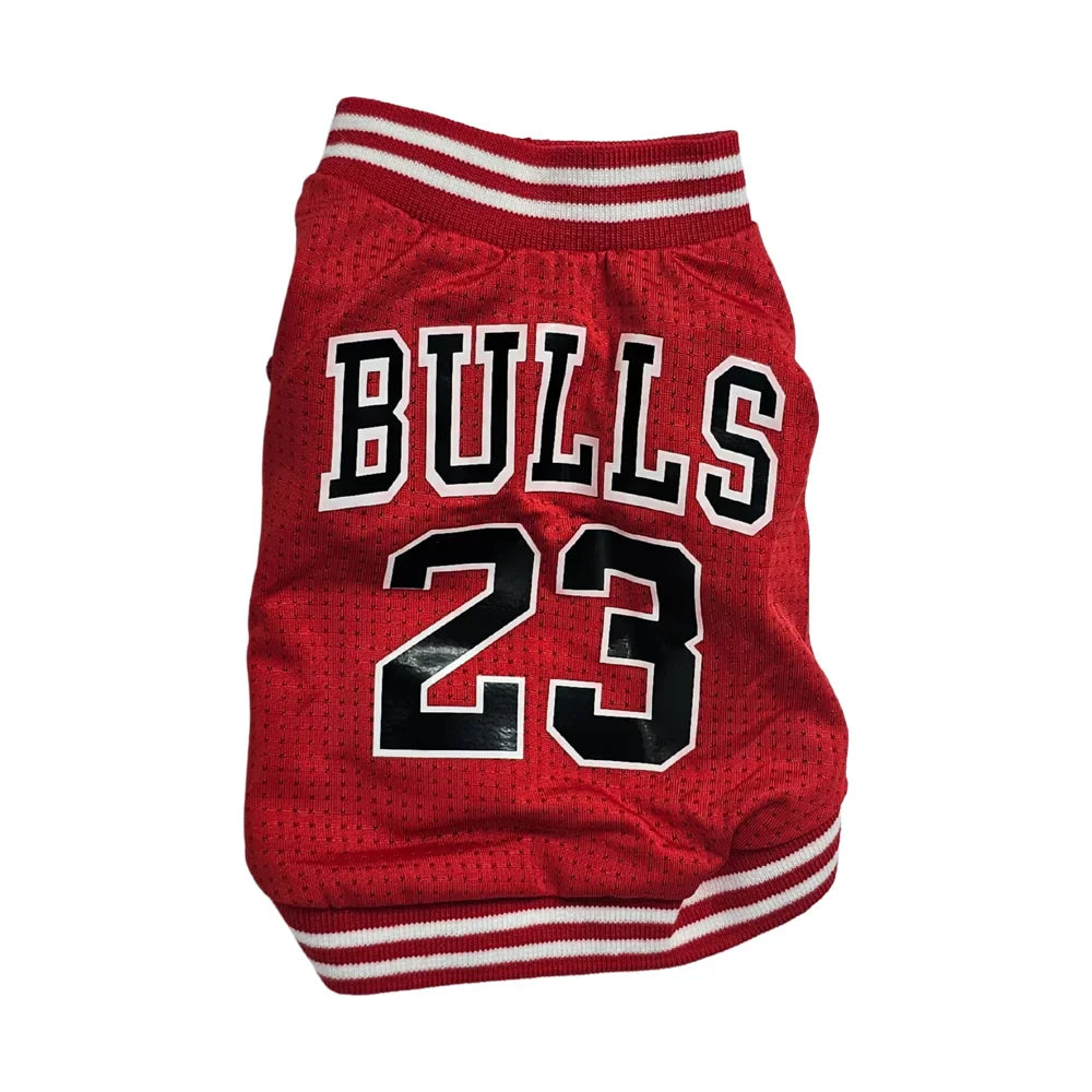Jersey Basketball Bulls
