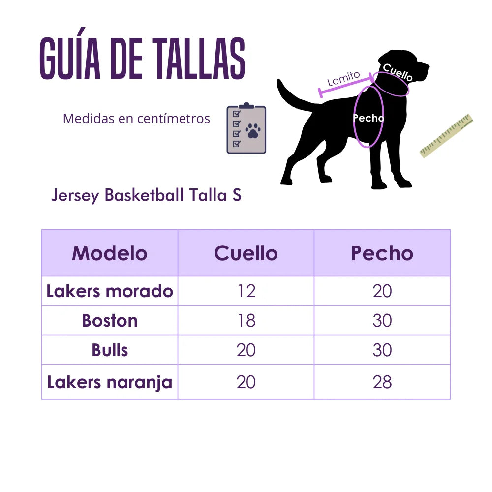 Jersey Basketball Boston