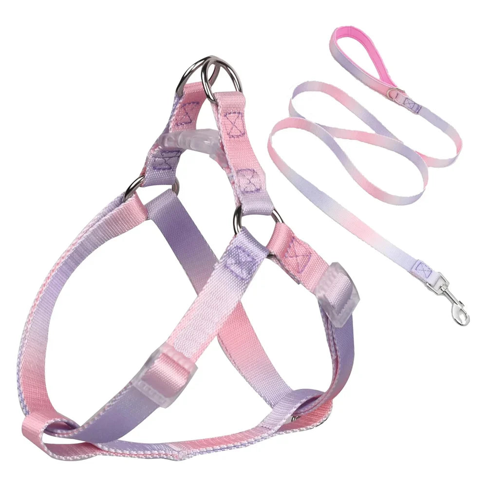 Set de pechera y correa tipo H