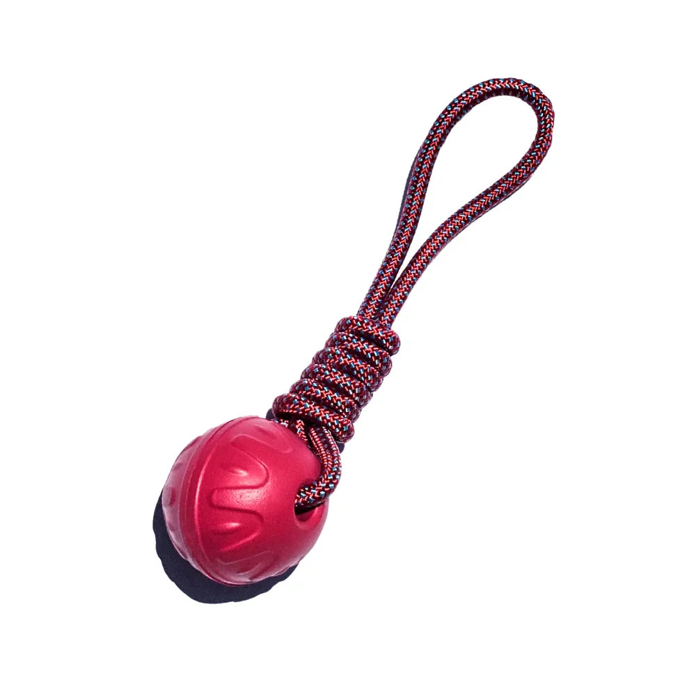 Pelotas de goma con cuerda
